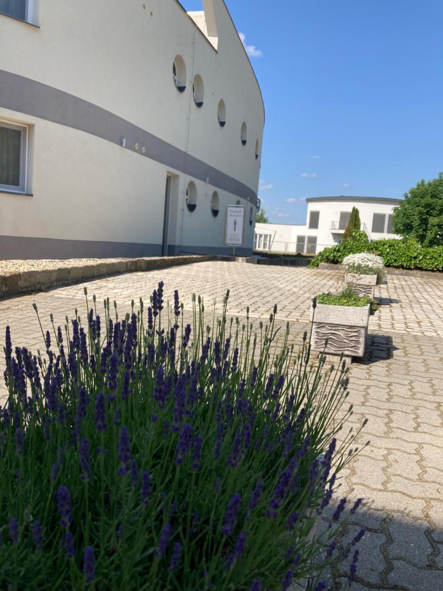 Nautilus Etterem Es Panzio Hotel Dabas Exterior photo